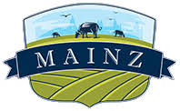 Mainz - AdStore